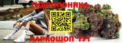 spice Баксан