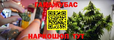 тгк Аша
