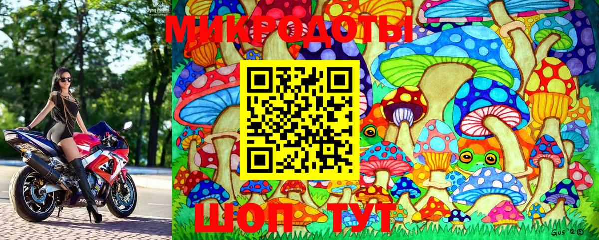 Псилоцибиновые грибы Psilocybe Железноводск