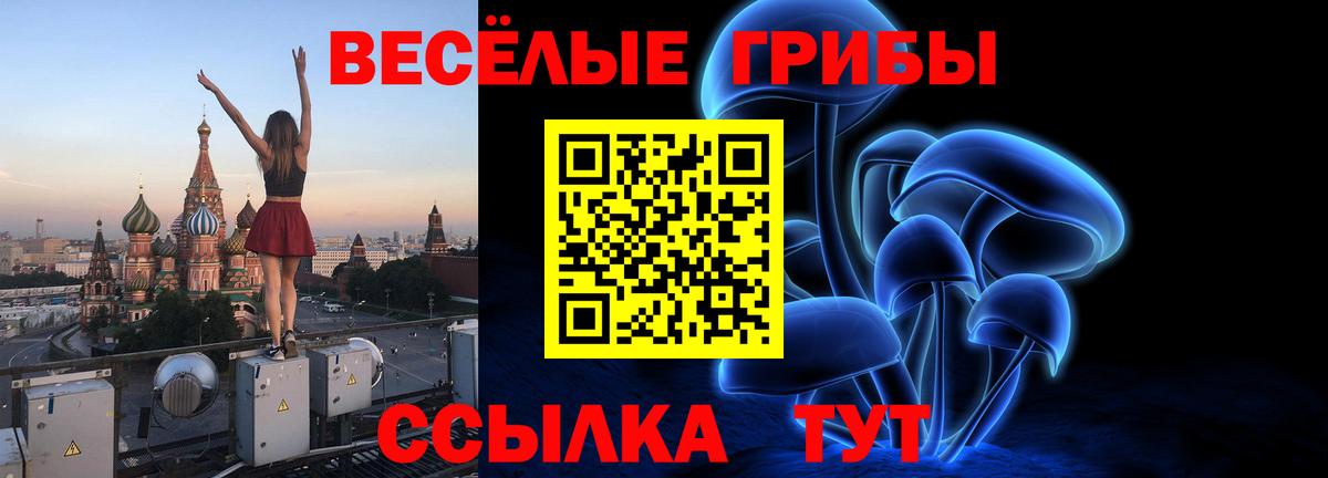 Железноводск  Псилоцибиновые грибы GOLDEN TEACHER  Вход с VPN  Галлюциногенные грибы GOLDEN TEACHER 